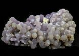 Grape Agate From Indonesia - Botryoidal Treasure #34274-1